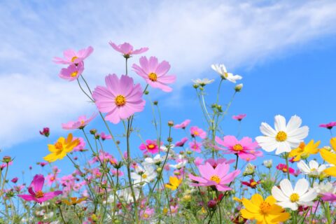 法務/人事労務
