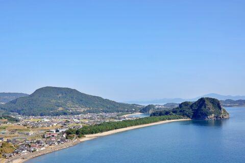 譲渡所得/自己株式