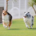 資産運用