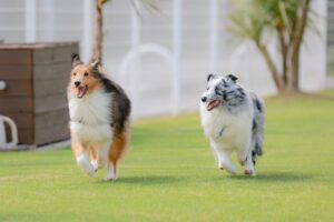 資産運用