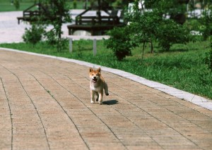 資産運用